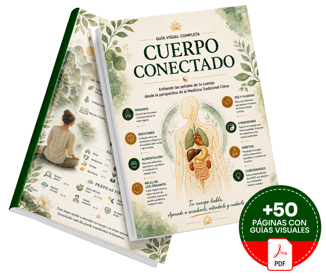 Mockup del Plan Básico
